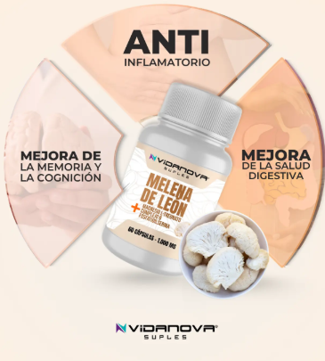 MELENA DE LEON FORTIFICADA