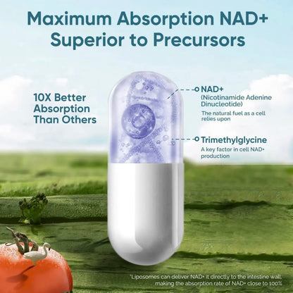 NAD+ RESVERATROL 1000MG 60 CAPS ORIGINAL
